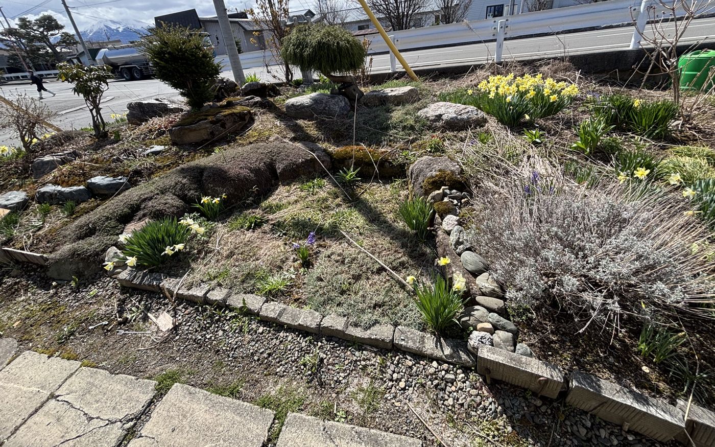 庭石と植栽のある庭。撤去前の様子